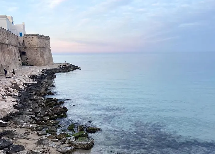 White House בית נופש